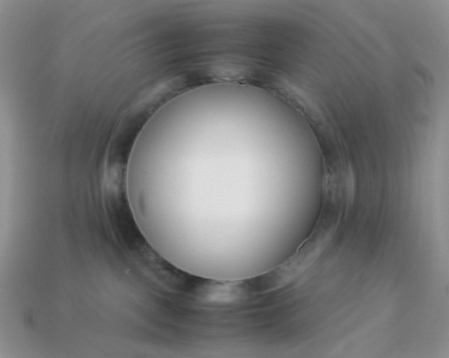 X0000113030093200909101906