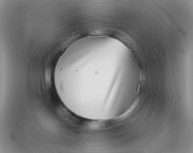 X0000113030094200909101906