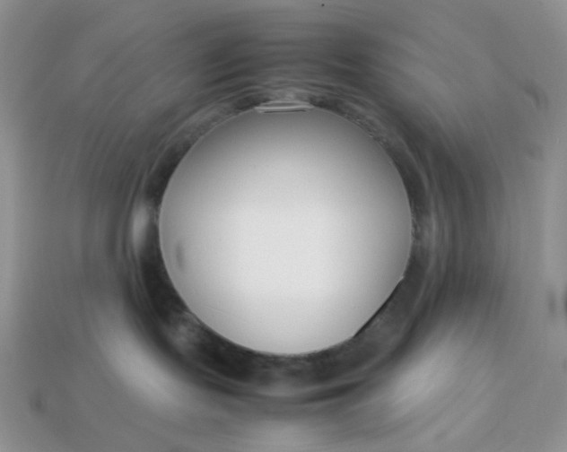 X0000113030095200909101906