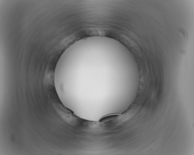 X0000113030096200909101906