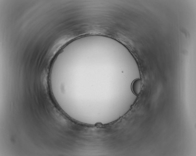 X0000113030098200909101906