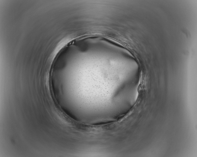 X0000113030099200909101906