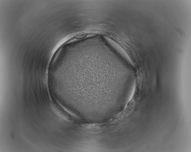 X0000113030100200909101906