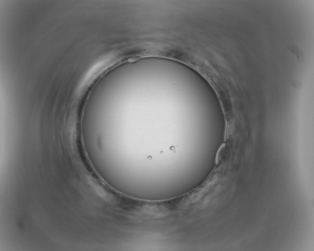 X0000113030101200909101906