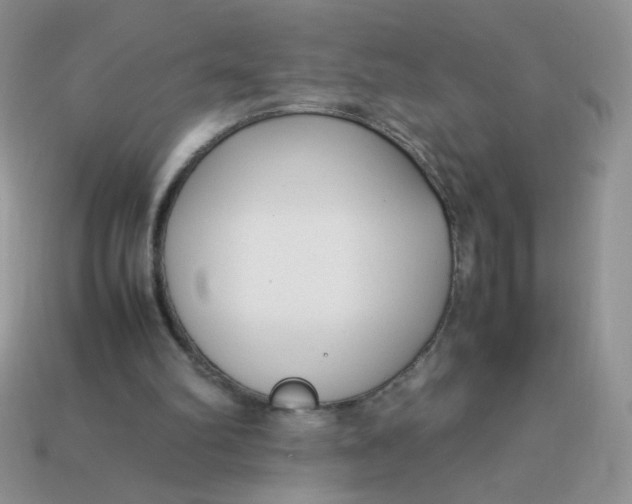 X0000113030102200909101906