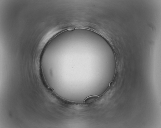 X0000113030103200909101906