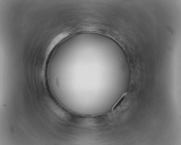 X0000113030104200909101906