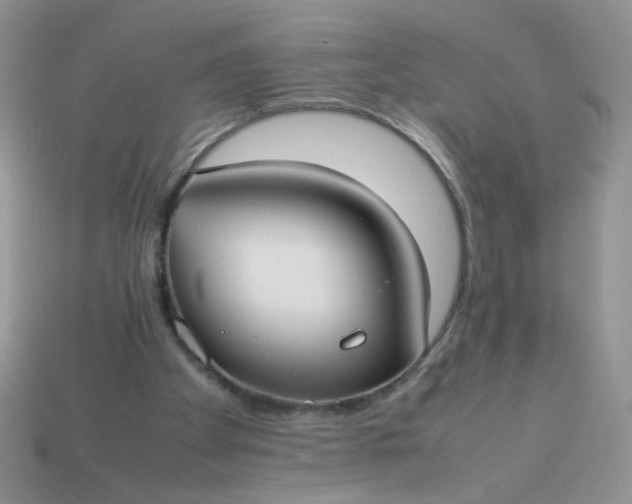 X0000113030105200909101906