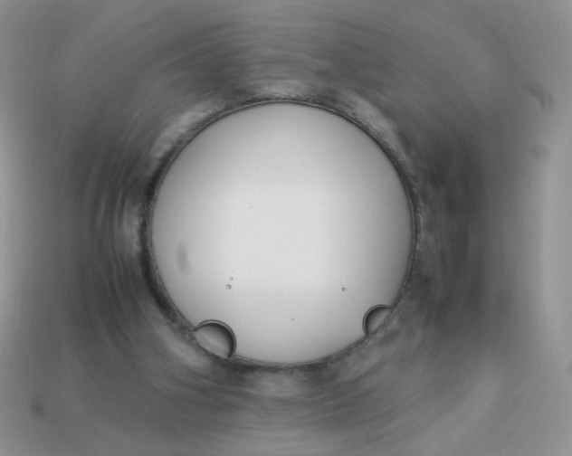 X0000113030106200909101906