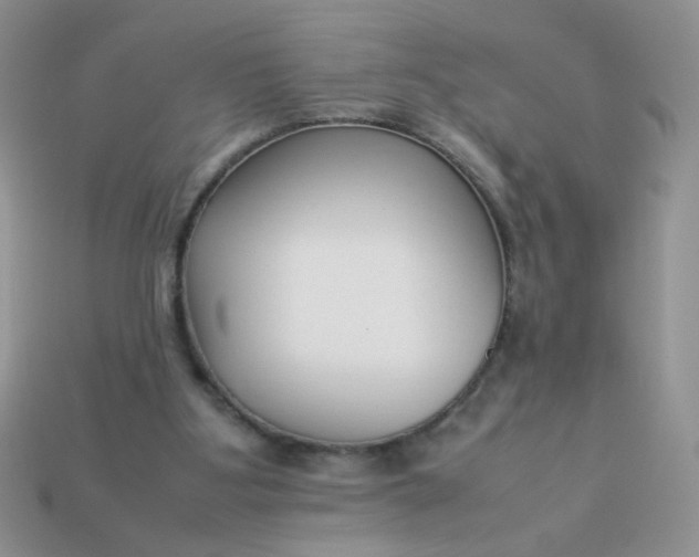 X0000113030107200909101906