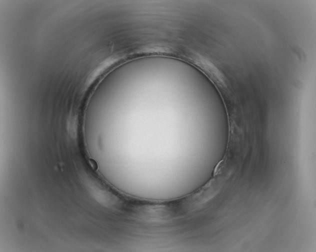 X0000113030108200909101905