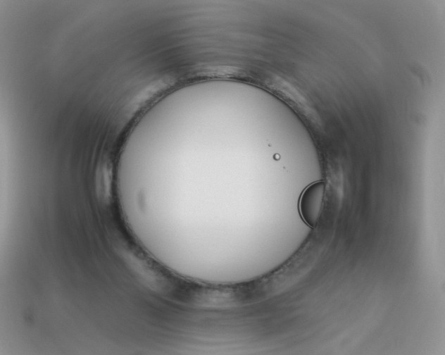 X0000113030110200909101905