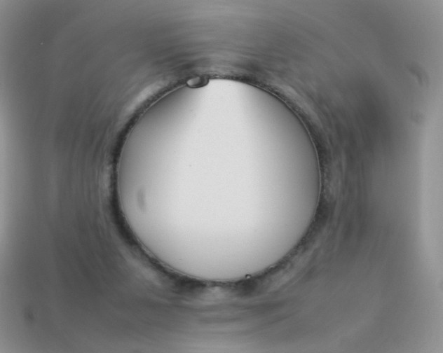 X0000113030111200909101905