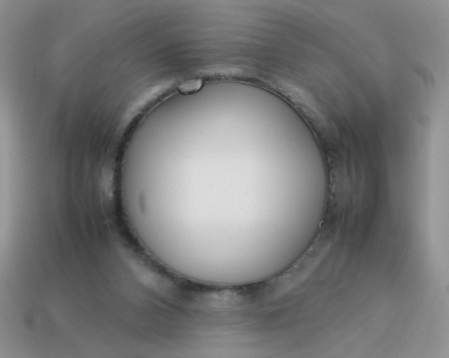 X0000113030112200909101905