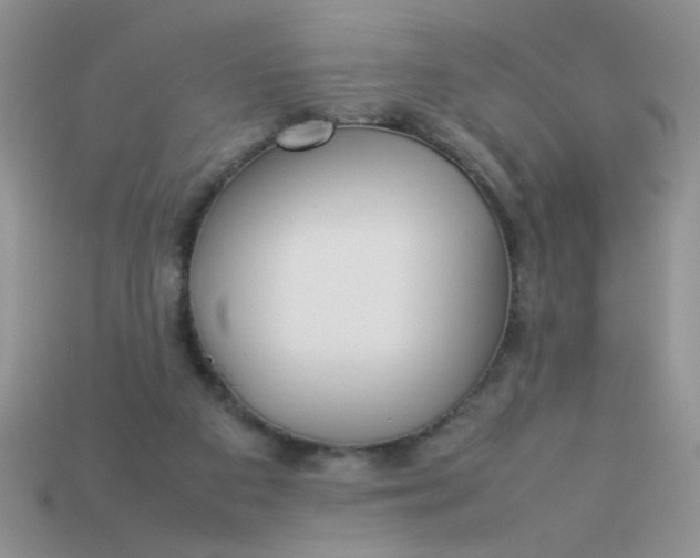 X0000113030113200909101905