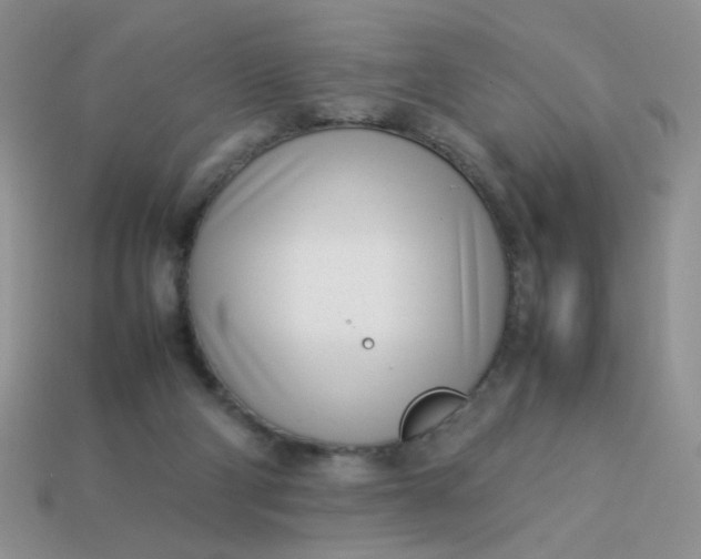 X0000113030114200909101905