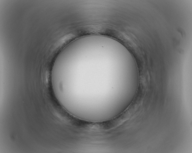 X0000113030115200909101905