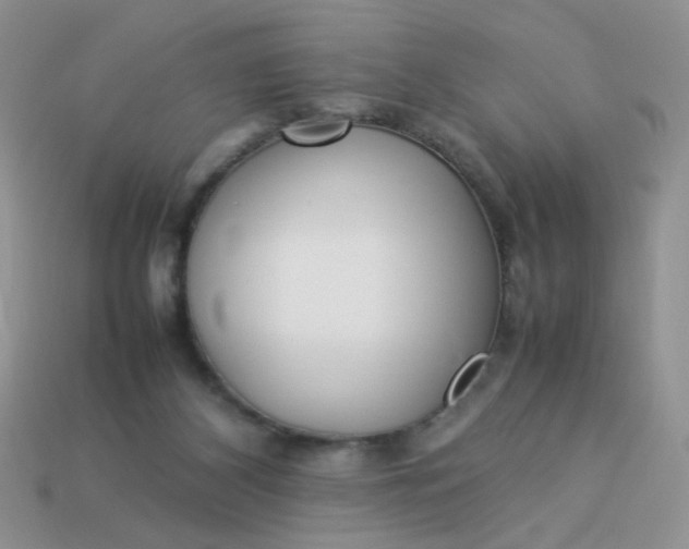 X0000113030116200909101905