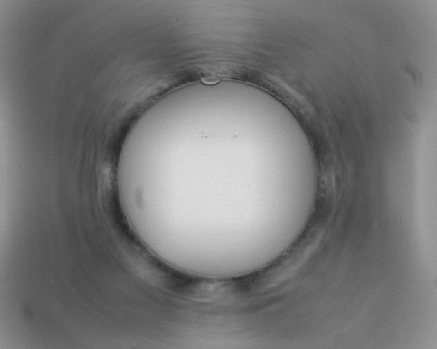 X0000113030117200909101905