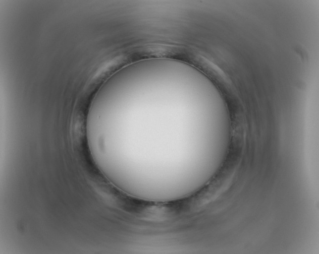 X0000113030119200909101905