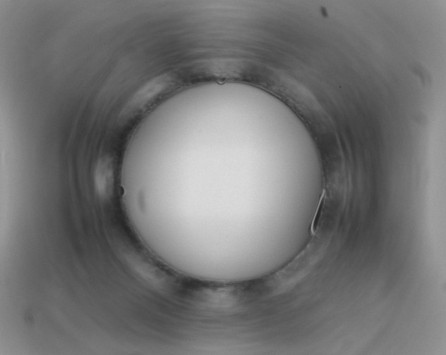 X0000113030120200909101905