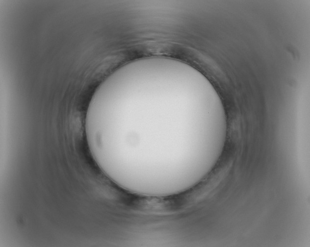 X0000113030121200909101905