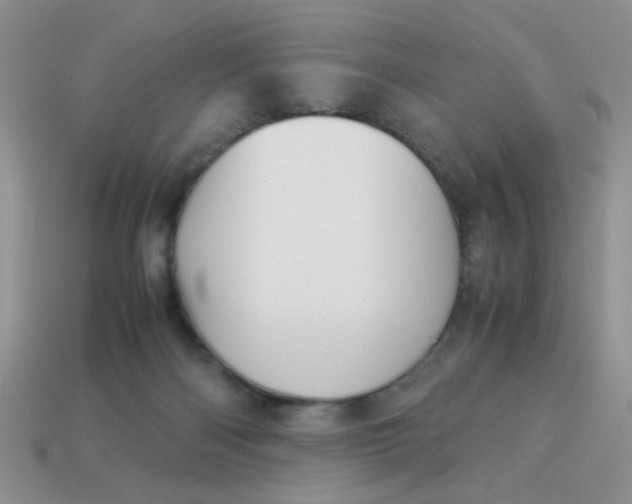 X0000113030122200909101905