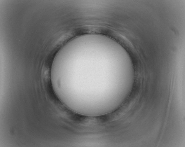 X0000113030123200909101905