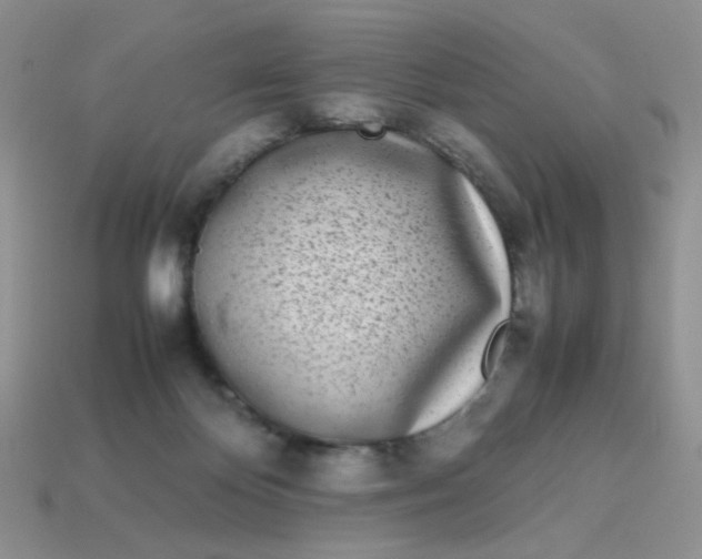 X0000113030124200909101905