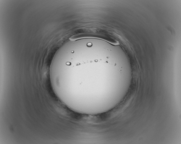 X0000113030125200909101905