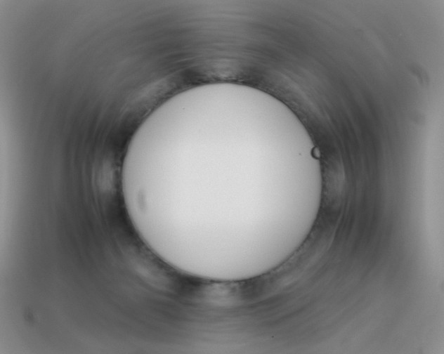 X0000113030126200909101905