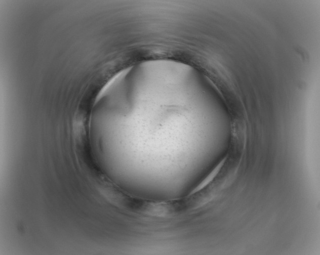 X0000113030127200909101905