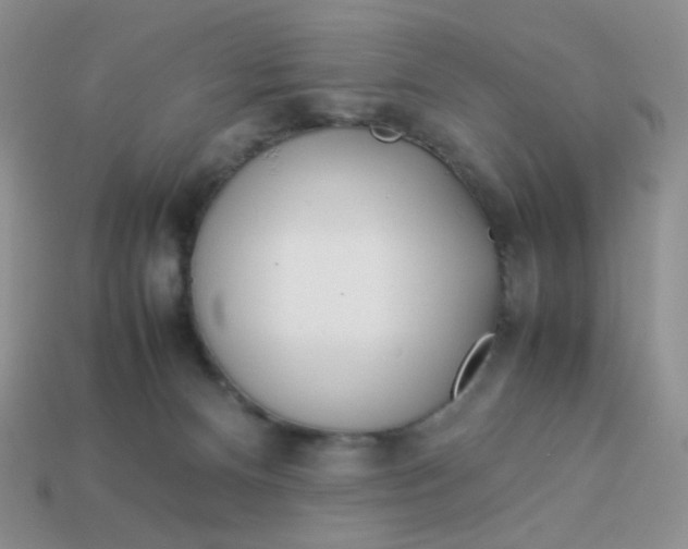 X0000113030128200909101905