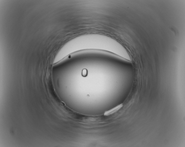 X0000113030129200909101905