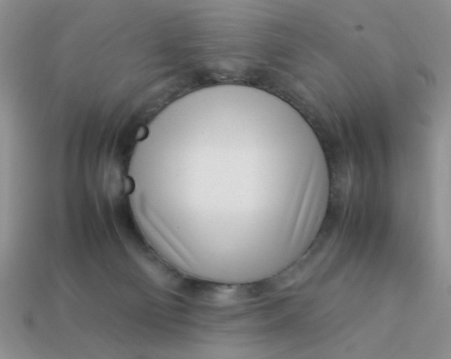 X0000113030130200909101905