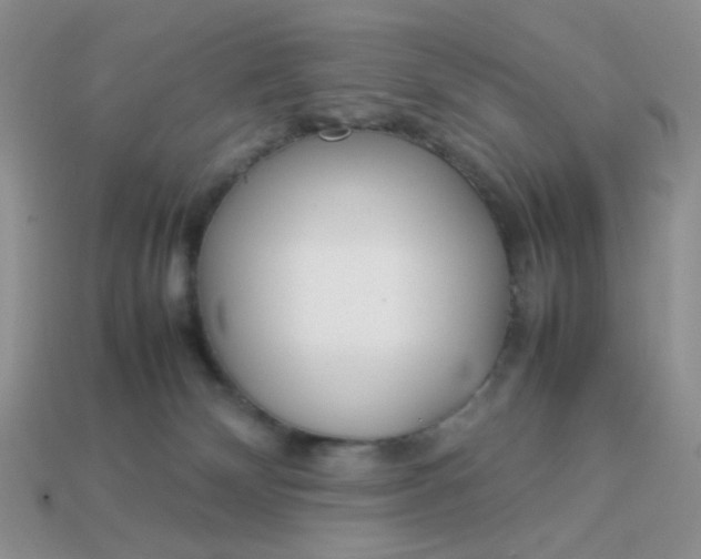 X0000113030132200909101905