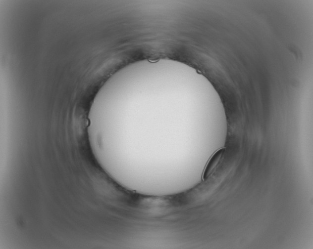 X0000113030133200909101905