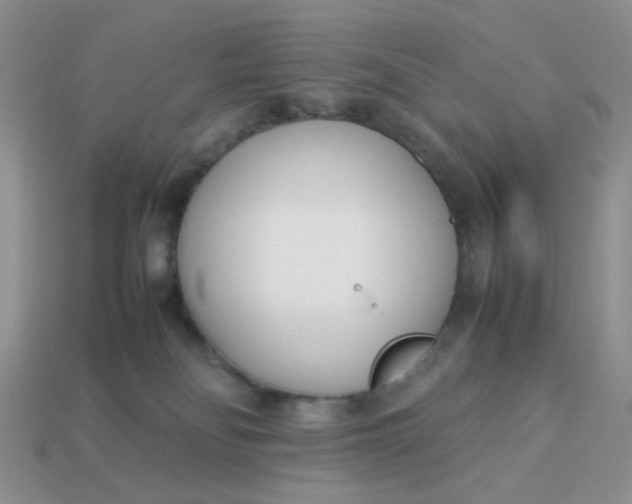 X0000113030134200909101905