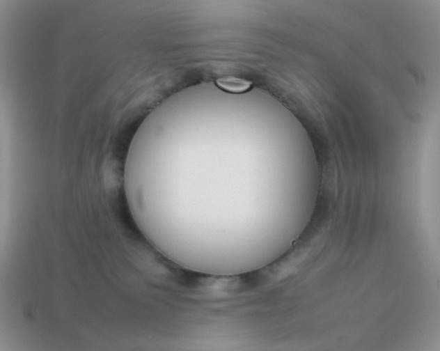 X0000113030135200909101905