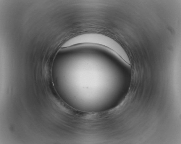 X0000113030136200909101905