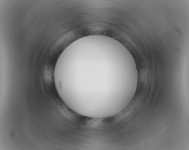 X0000113030138200909101905