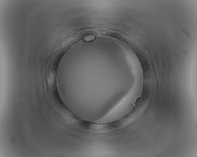 X0000113030139200909101905