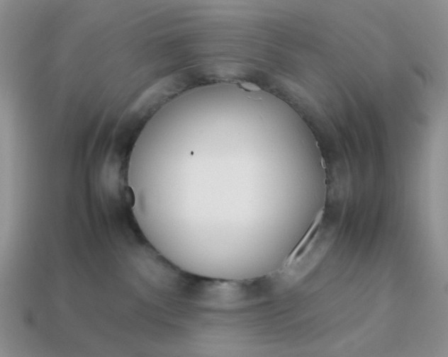 X0000113030140200909101905