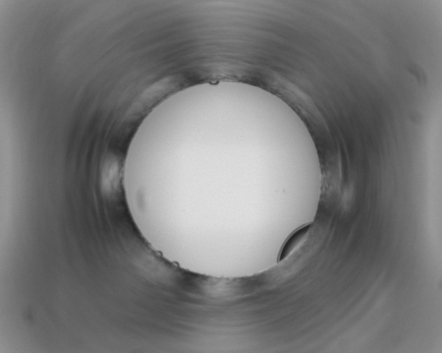 X0000113030142200909101905