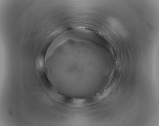 X0000113030143200909101905