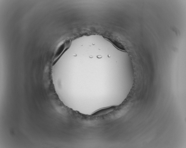 X0000113030144200909101905