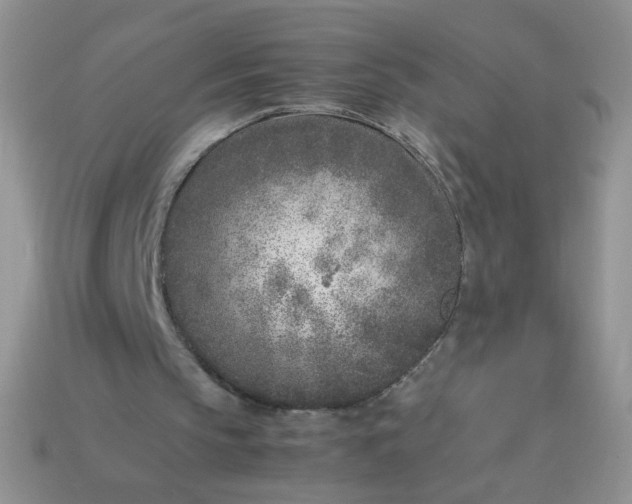 X0000113030145200909101904