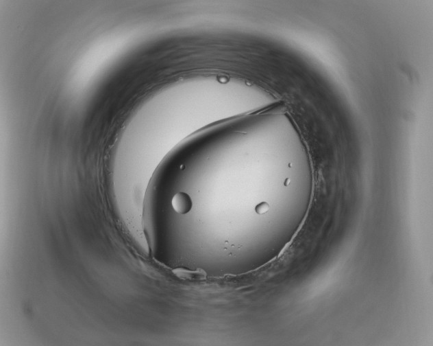 X0000113030146200909101904