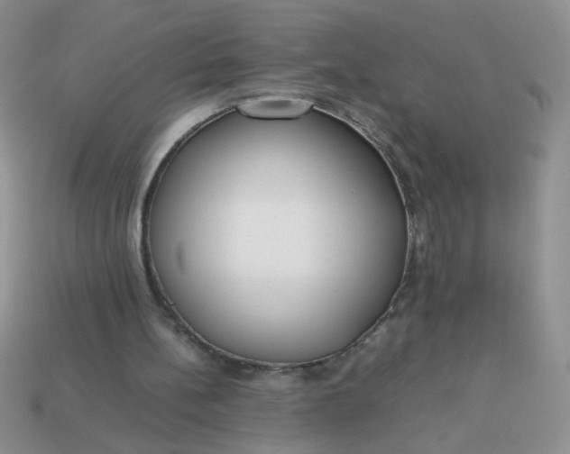 X0000113030148200909101904