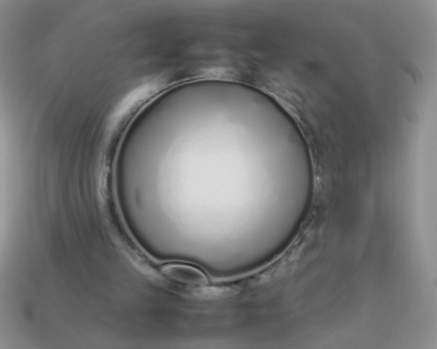 X0000113030149200909101904